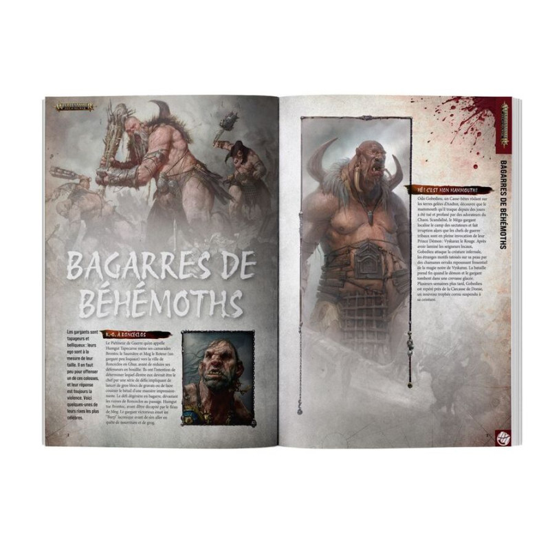 Magazine White Dwarf 529 - WARHAMMER WD529