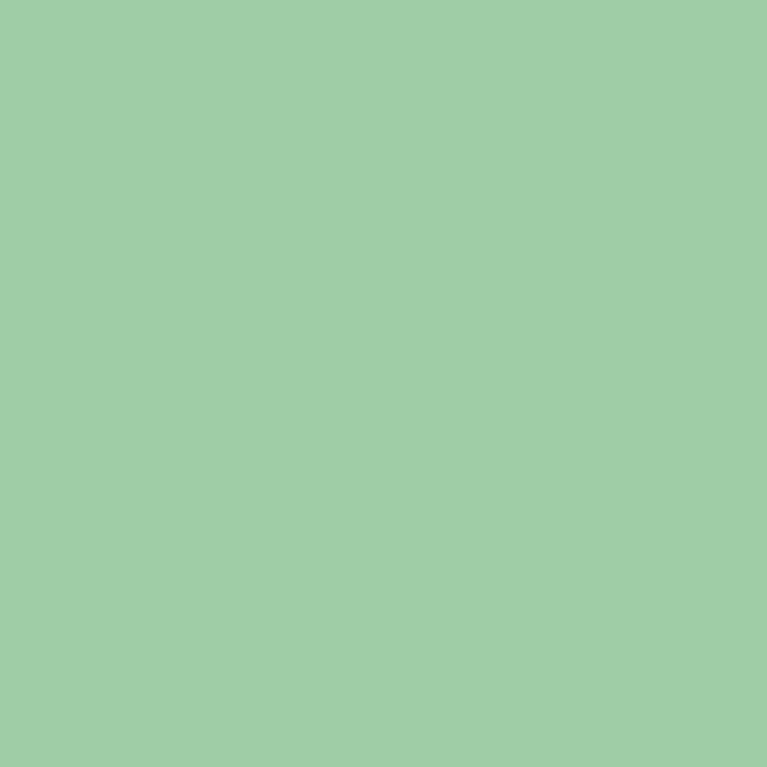 Spearmint - 18ml Squidmar Color - VALLEJO 74.226