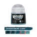 Craventhrone Cloak 4 - 12ml Tone Pro - WARHAMMER 99189961364 20-314