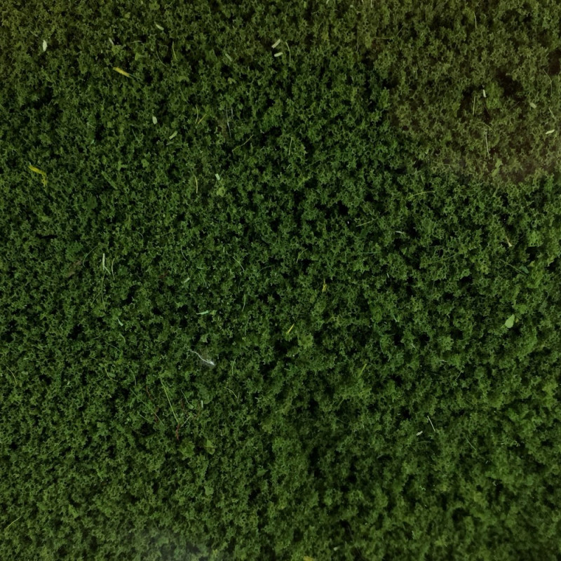 NOCH 07106 Herbe sauvage, vert foncé, 6 mm, sachet de 50 g - Lokschuppen Berlinski