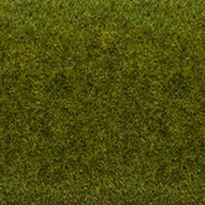 Tapis de gazon de pré-HO-1/87-NOCH 00265