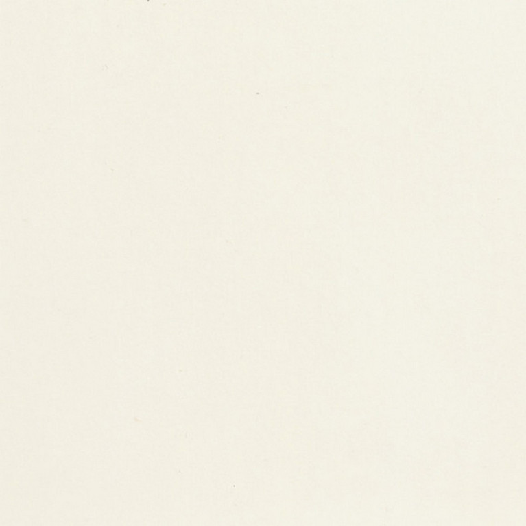 Peinture Acrylique en pot 90ml Blanc-NOCH 61190