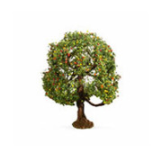 Végétation et Flocage