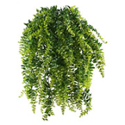 Flocage / Foliage / Feuillage