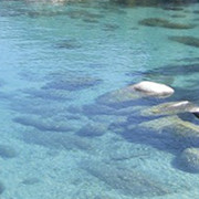 Creation et Effet D'eau