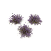 FLEURS